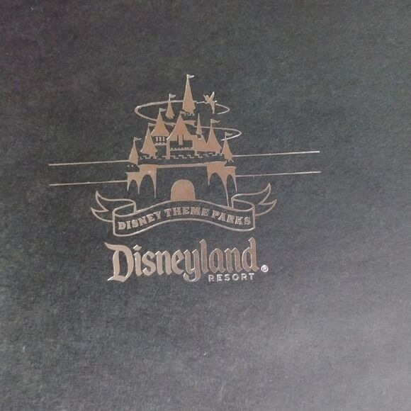 Disneyland Resort photo album - Picture 3 of 7